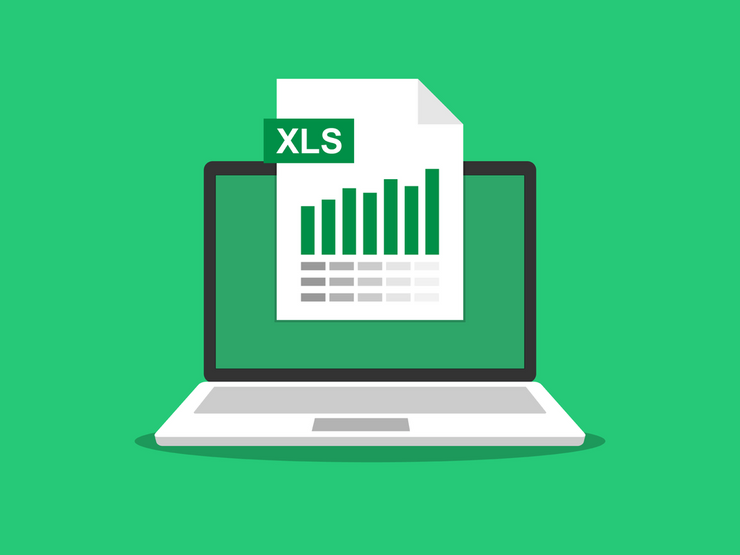 Microsoft Excel Data Governance Image